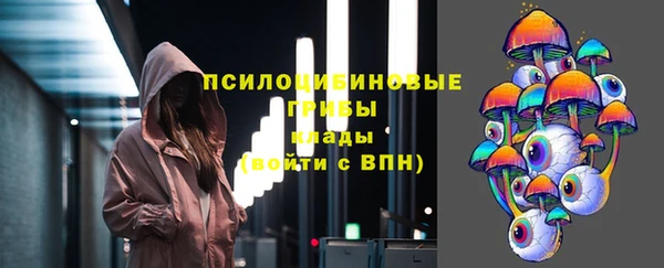 мдпв Протвино