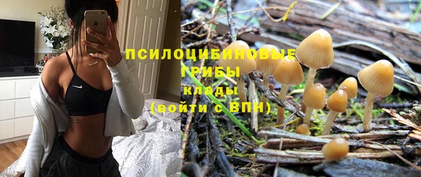 винт Пролетарск