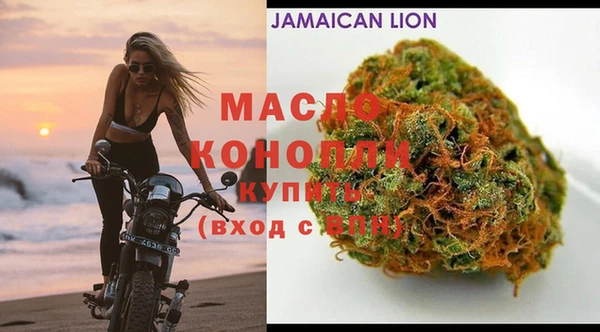 мдпв Протвино