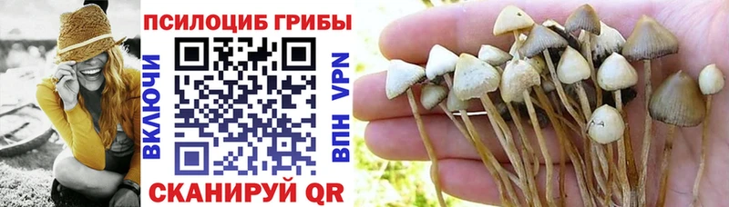 Псилоцибиновые грибы Magic Shrooms  Купить где  Елец 